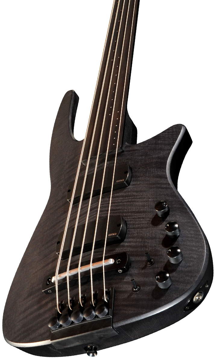 NS Design CR5 Radius Fretless